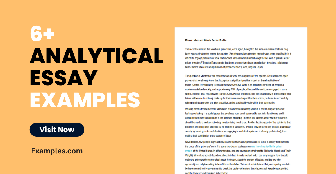 analytical essay examples