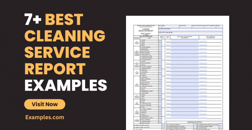 Best Cleaning Service Report Examples