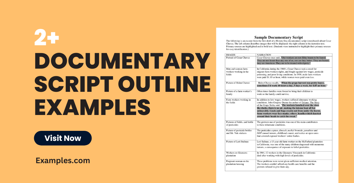 Documentary Script Outline - Examples, Pdf