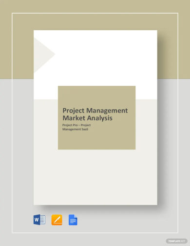 project management market analysis template1