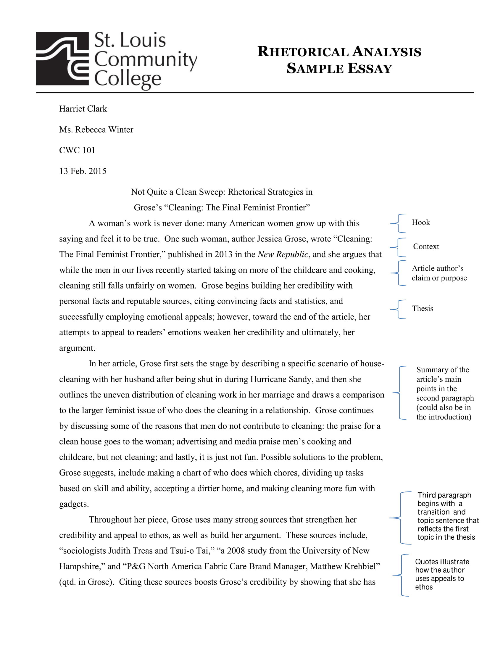 Examples on Writing an Analytical Essay (PDF) | Examples