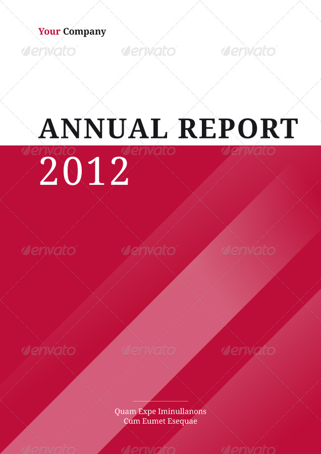 24-Page Annual Report Brochure