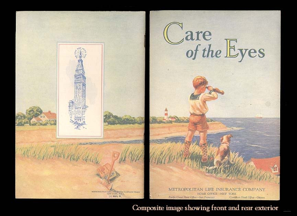 Care of the Eyes—A Beautifully Poignant Vintage Book