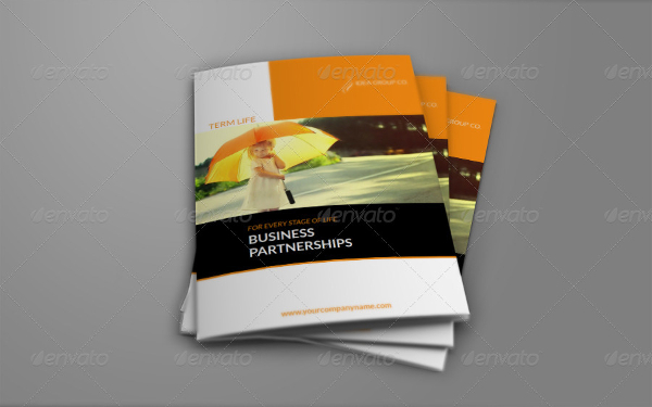 company brochure insurance bi fold design template
