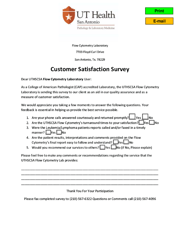 Customer Satisfaction Survey - 6+ Examples, Format, Pdf | Examples