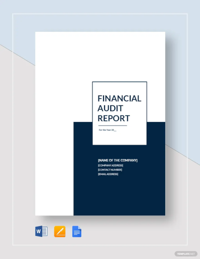 financial audit report template