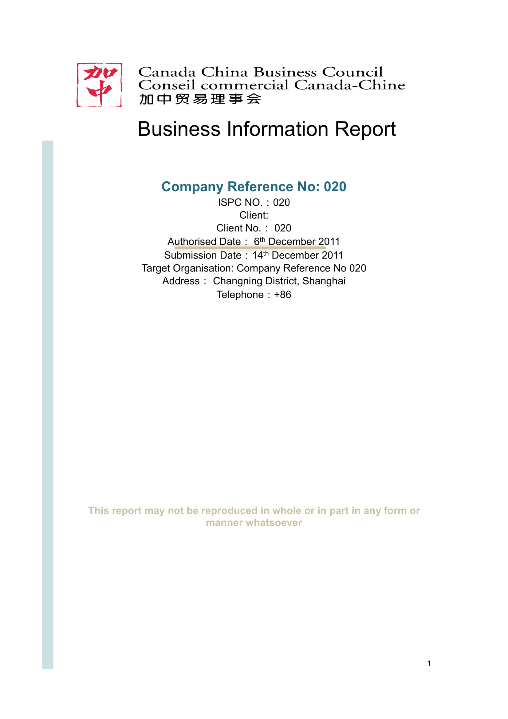 informational report example