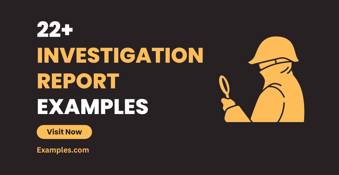 Investigation Report Examples