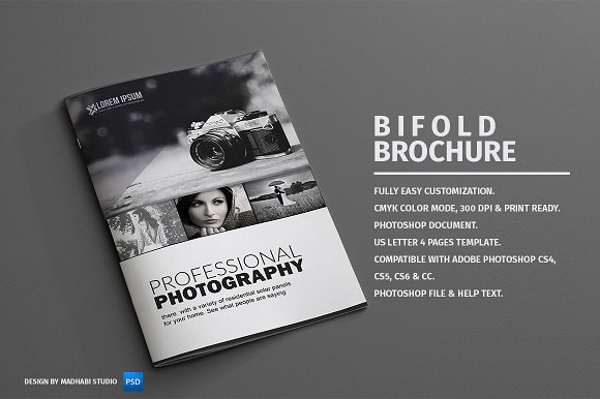 professional photography bifold brochure
