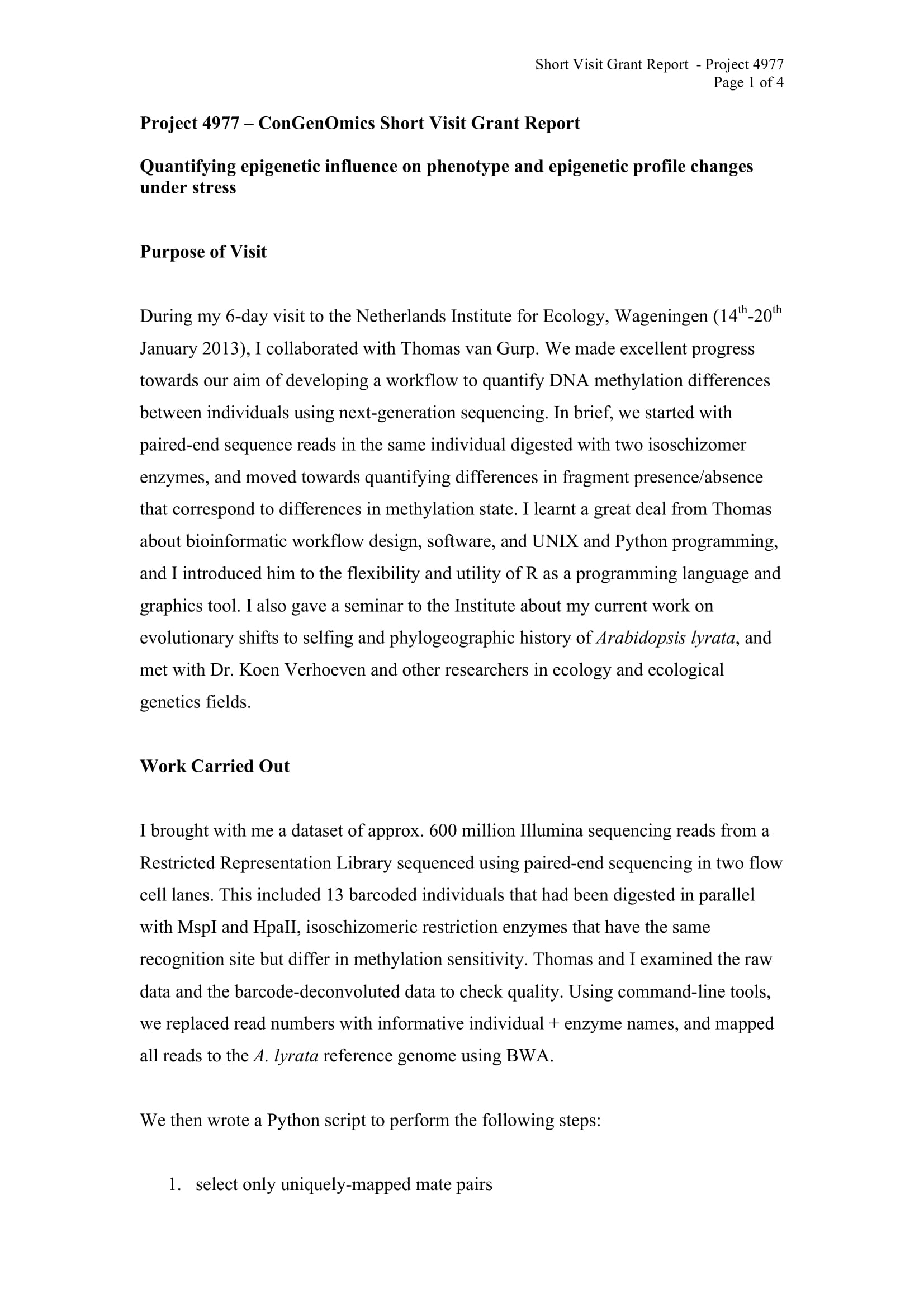 writing report sample pdf