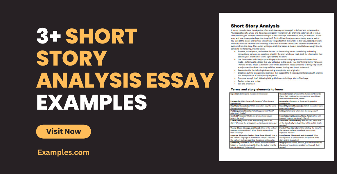Short Story Analysis Essay Examples