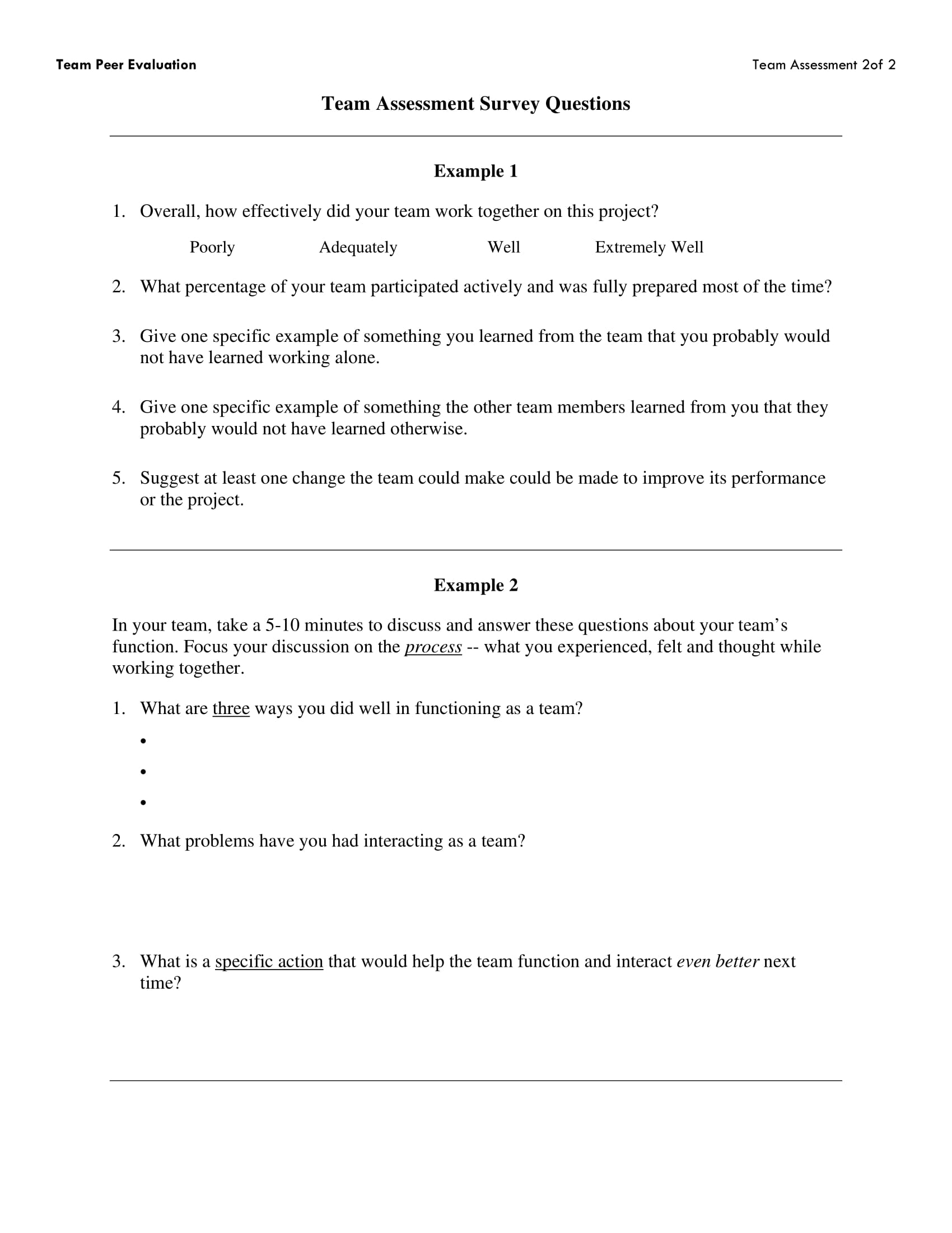 Team Assessment Survey Questions Example