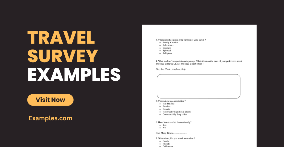 travel survey examples