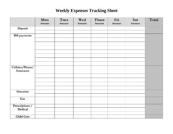 weekly expenses tracking sheet example
