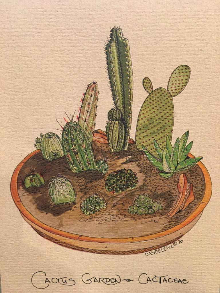 1970s Cactus Design Gift Card Example