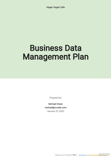 Business Data Management Plan Template