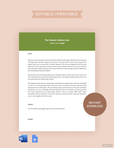 Case Brief Essay Template