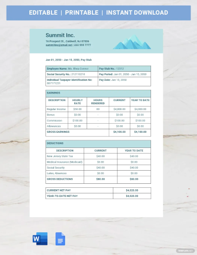 consultant payslip template