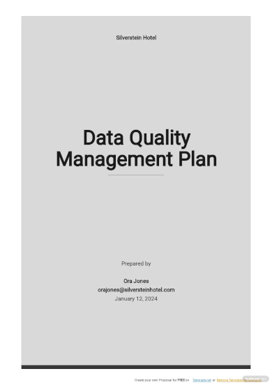 data quality management plan template