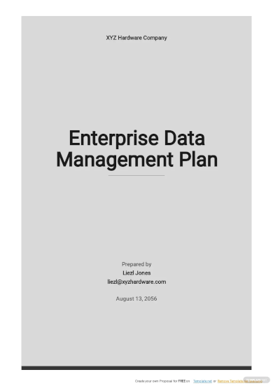 Enterprise Data Management Plan Template