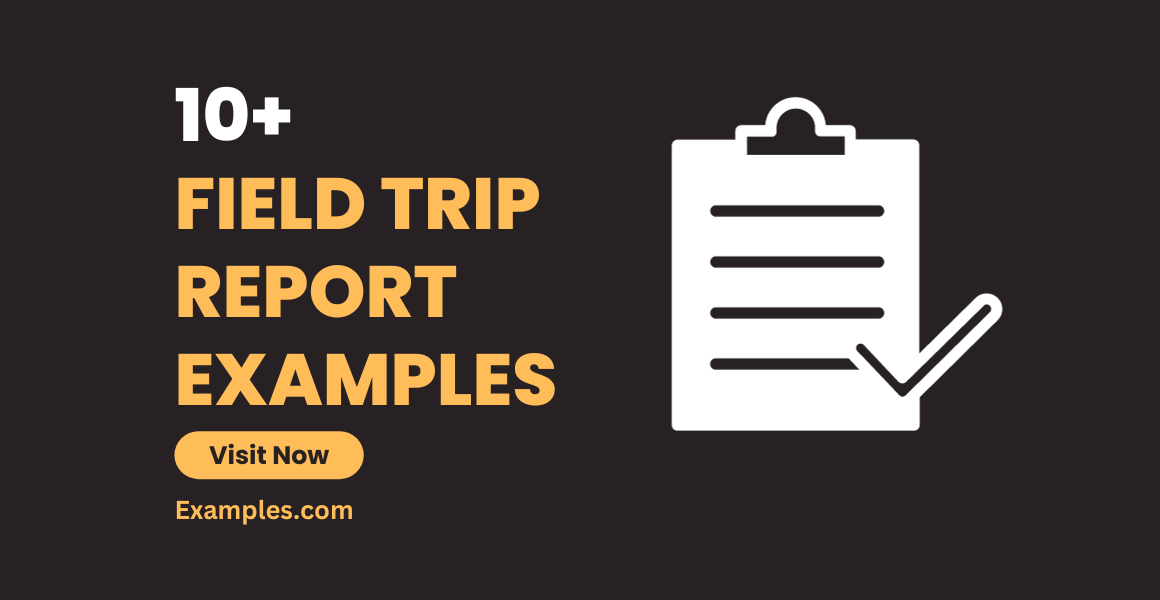 Field Trip Report Examples