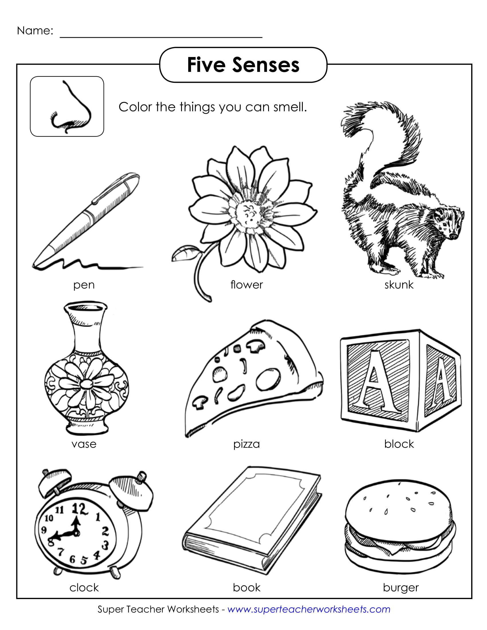 Science Worksheets For Kids Five Senses