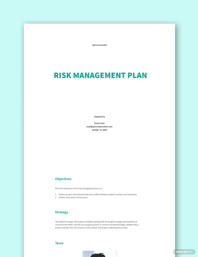 Free Sample Risk Management Plan Template