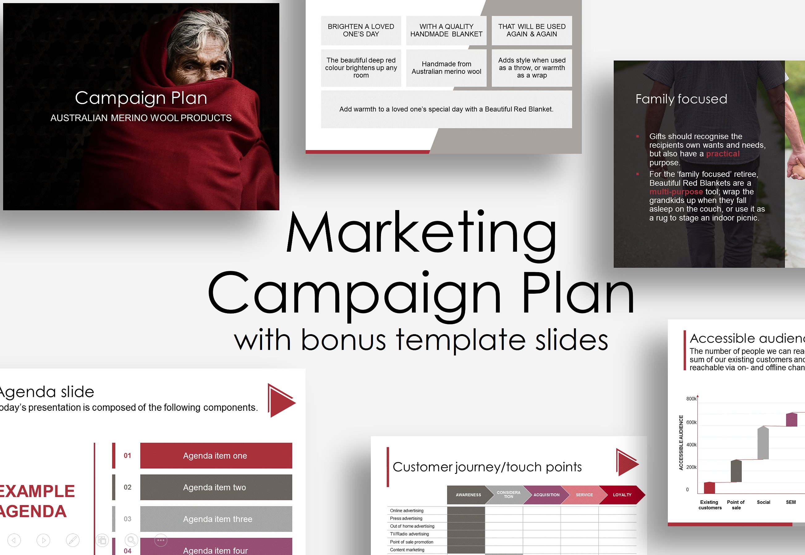 campaign plan presentation