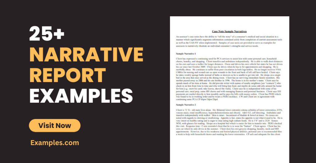 Narrative Report Examples