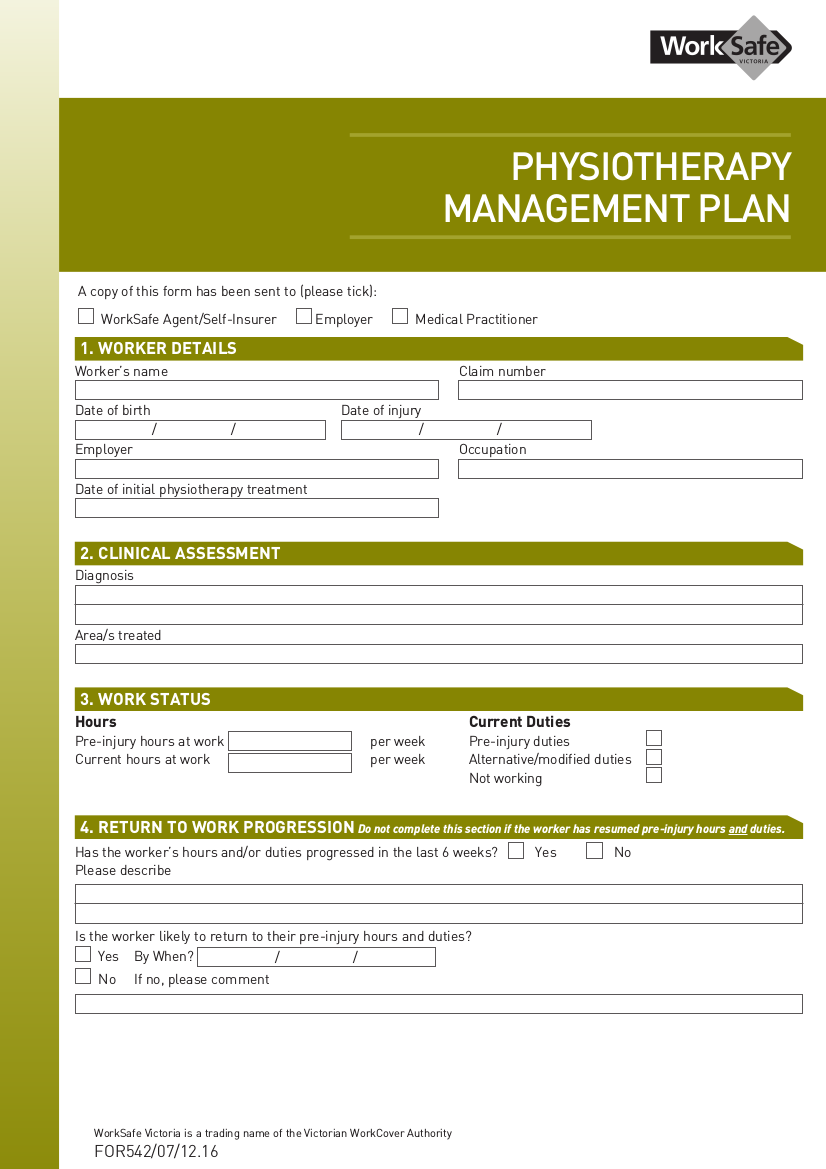 physiotherapy business plan template