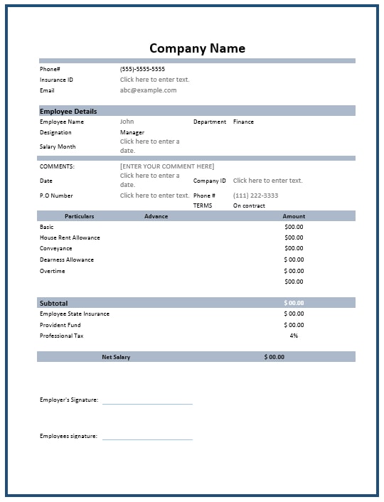 government employee salary slip format