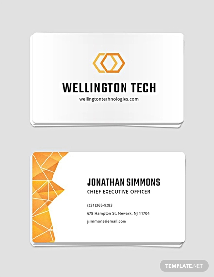 Professional Business Card1