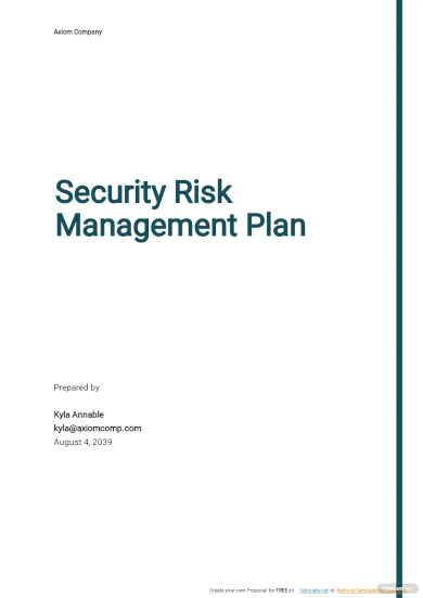 Security Risk Management Plan Template