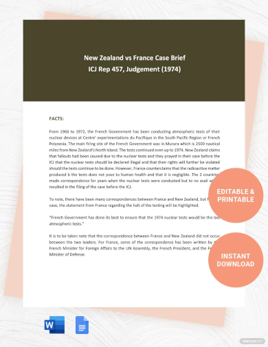 Student Case Brief Template