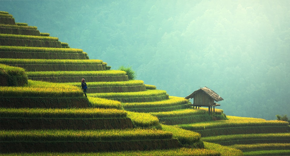 rice terraces travel