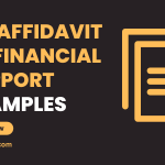 Affidavit of Financial Support Examples