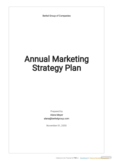 annual marketing strategy plan template