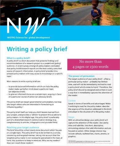 basic policy brief template example1