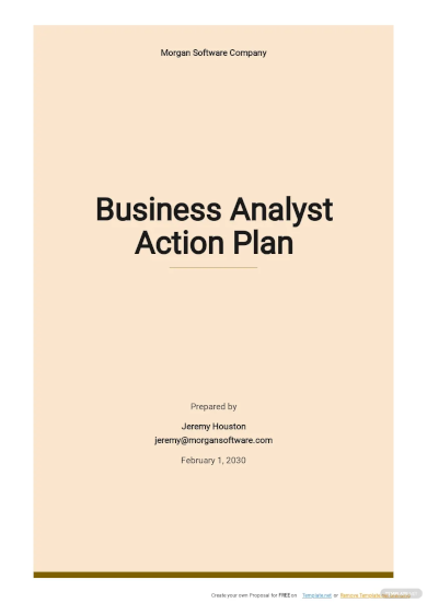 business analyst action plan template