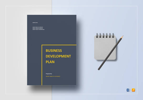 10 business development strategy plan examples pdf word