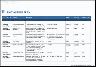 17 Business Action Plan Examples In Pdf Ms Word Pages Google Docs Examples