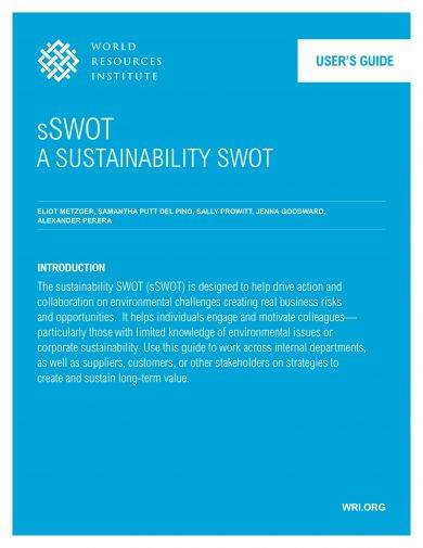 business sustainability swot analysis example