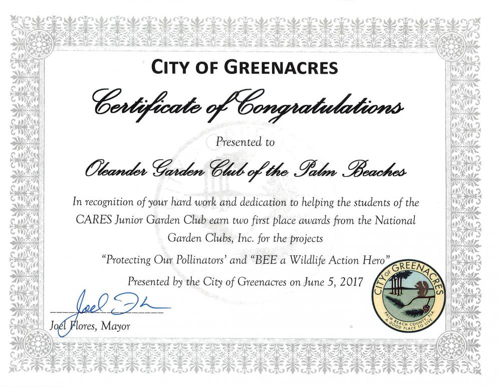 congratulatory loyalty award certificate example