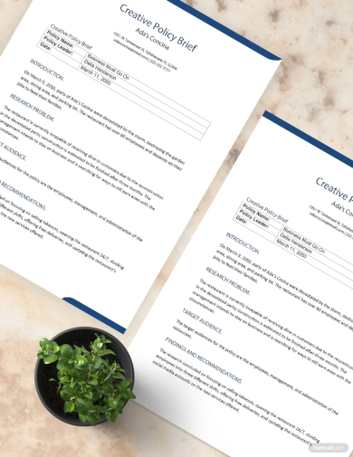 creative policy brief template