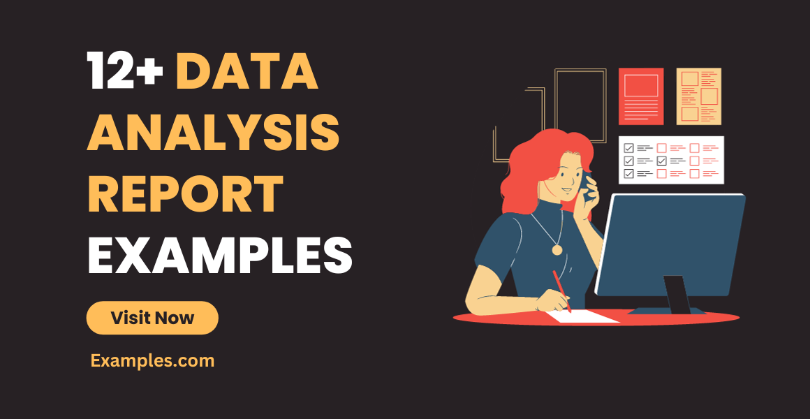 Data Analysis Report Examples