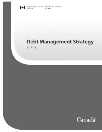 debt management strategy and plan example