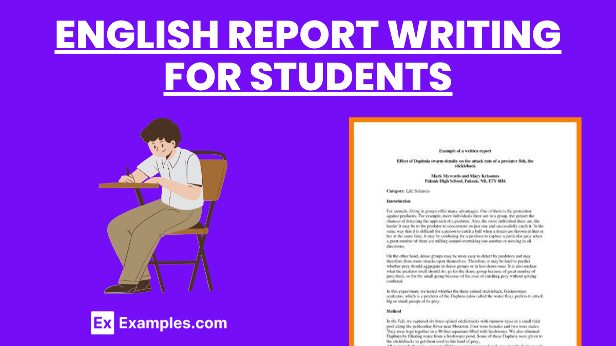 report writing example english