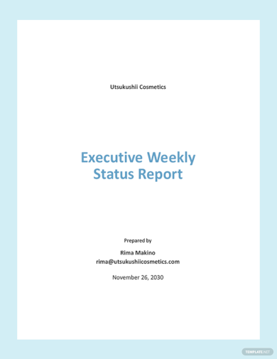 Executive Weekly Status Report Template
