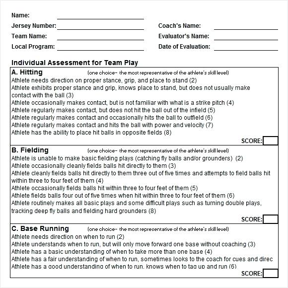 Basic Skills Assessment 8 Examples Format Pdf