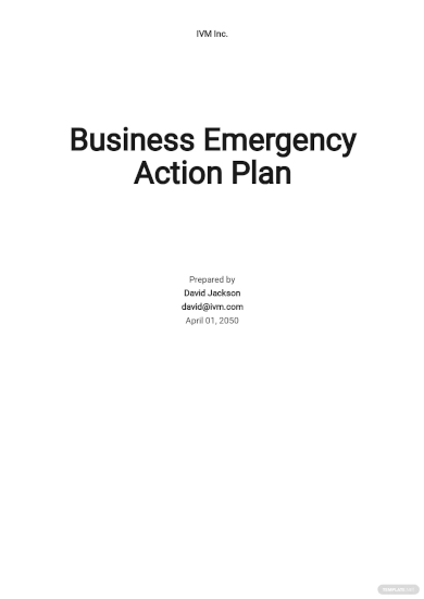 free business emergency action plan template